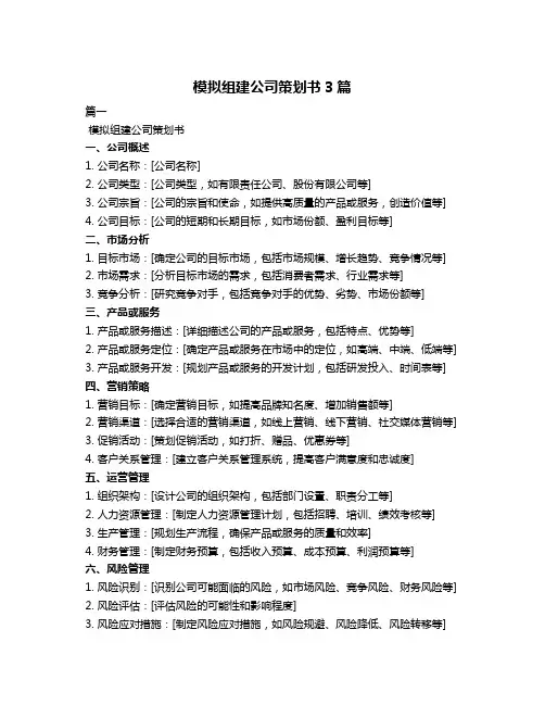 模拟组建公司策划书3篇