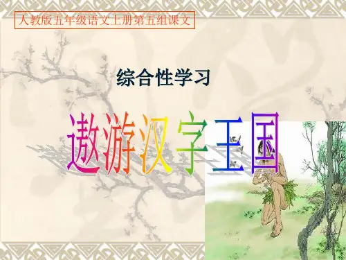 第五组《遨游汉字王国》课件PPT课件