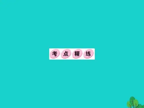 (教师用书)2017中考语文第四部分现代文阅读考点精练课件5(精)