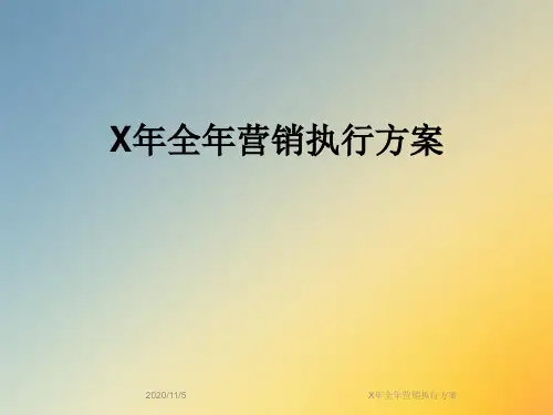 X年全年营销执行方案