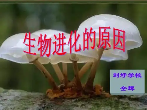 生物进化的原因