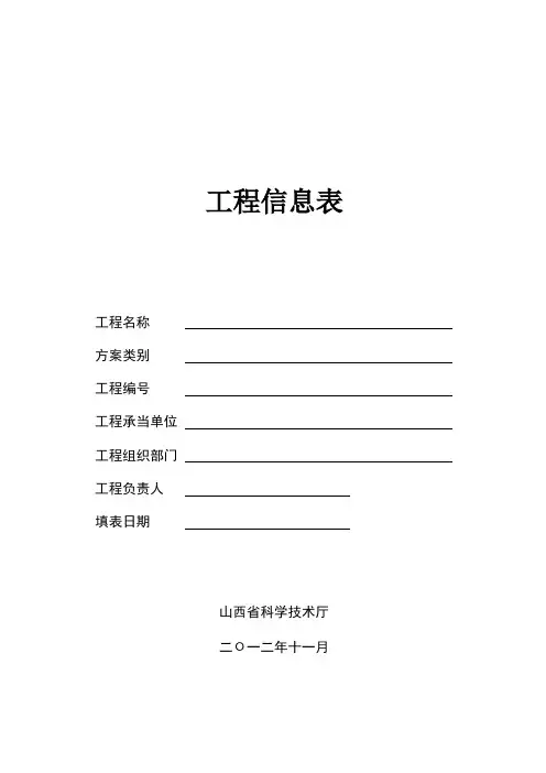 项目信息表模板