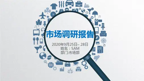 【新】电子产品市场调研ppt