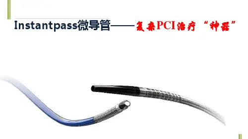 Instantpass微导管(冠脉)介绍(年会)课件