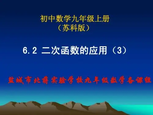 二次函数的应用(3)利润问题