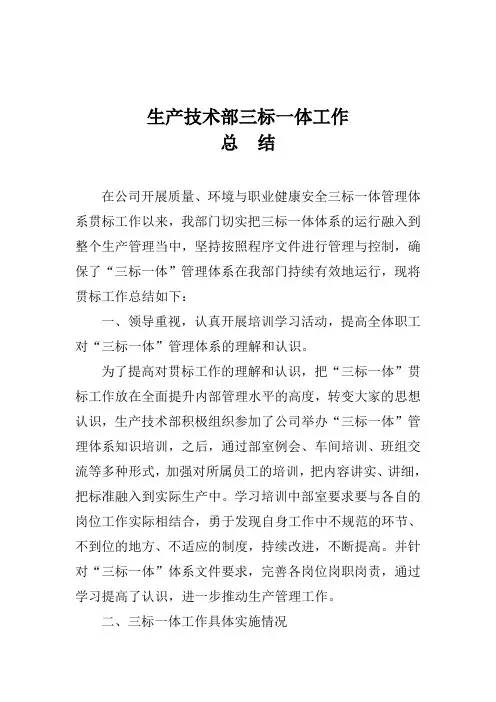 三标一体工作总结