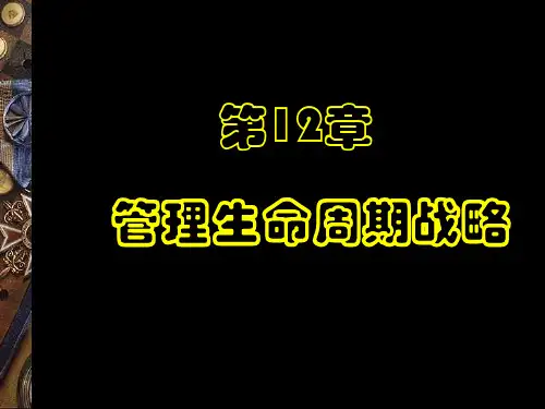 管理生命周期战略