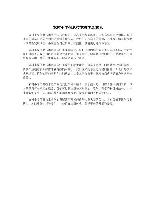 农村小学信息技术教学之我见