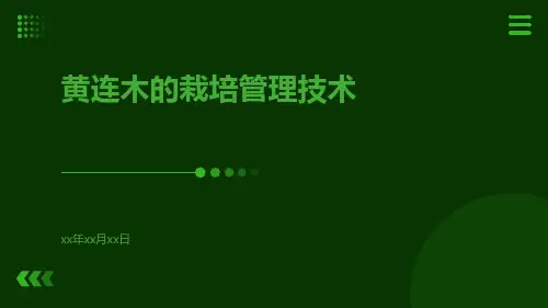 黄连木的栽培管理技术