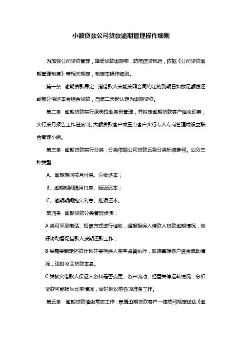 小额贷款公司贷款逾期管理操作细则