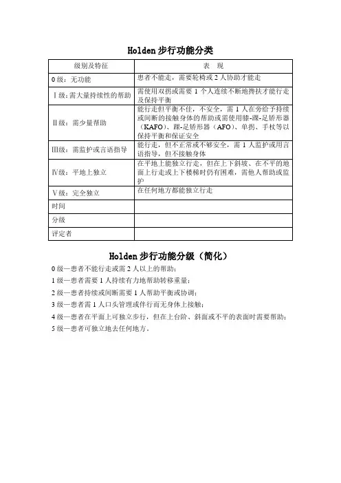 Holden步行功能分类