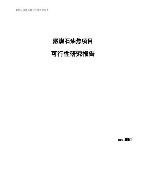 煅烧石油焦项目可行性研究报告