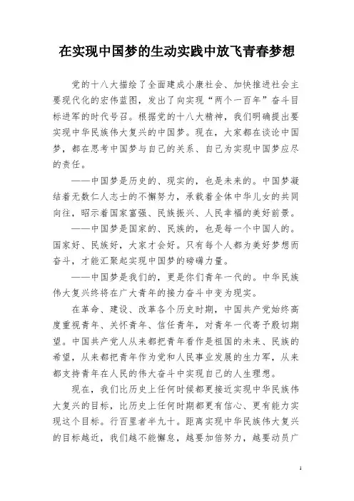 在实现中国梦的生动实践中放飞青春梦想 2