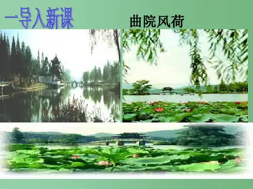 九年级语文下册 25《诗词六首》钱塘湖春行课件 (新版)语文版