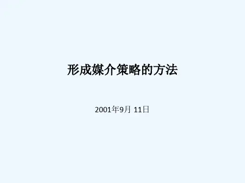 形成媒介策略的方法