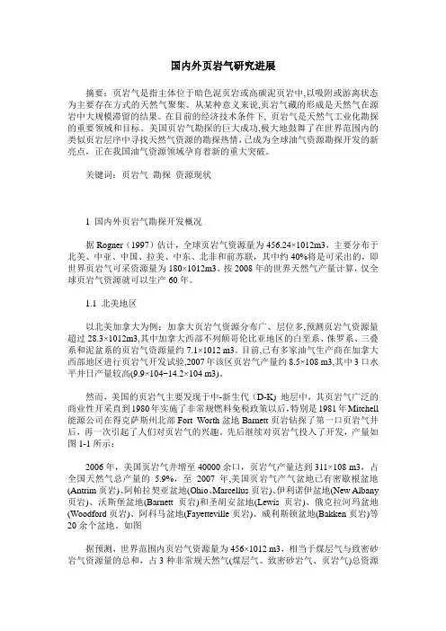 国内外页岩气研究进展
