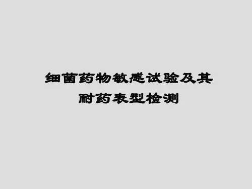 细菌药敏试验