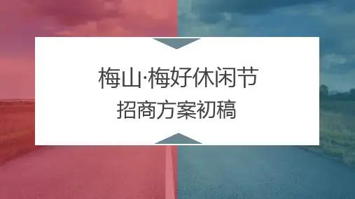 大型旅游景点招商方案