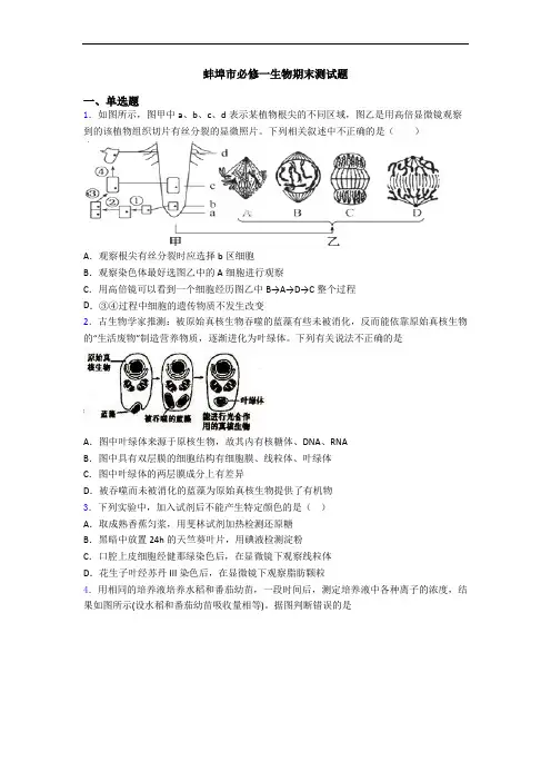 蚌埠市必修一生物期末测试题 2