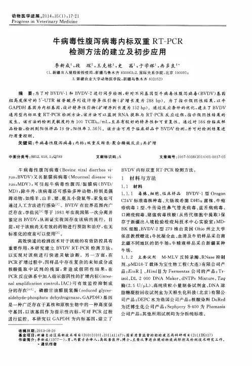 牛病毒性腹泻病毒内标双重RT-PCR检测方法的建立及初步应用