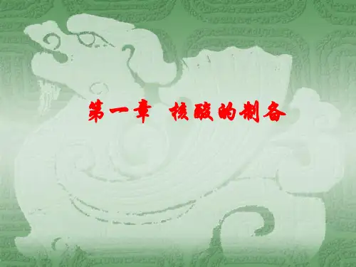 生物工艺学第1章 核酸的制备