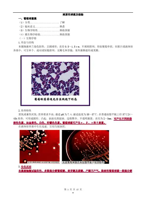 2017年初级检验技师《微生物检验》讲义第13章病原性球菌及检验