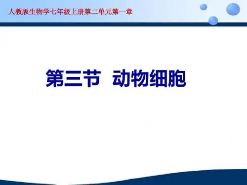 人教版七年级上册生物2.1.3动物细胞说课(共20张PPT)