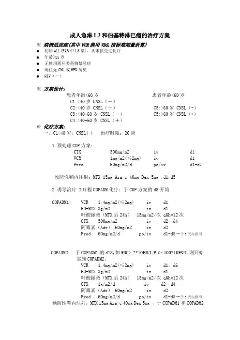 成人急淋L3方案