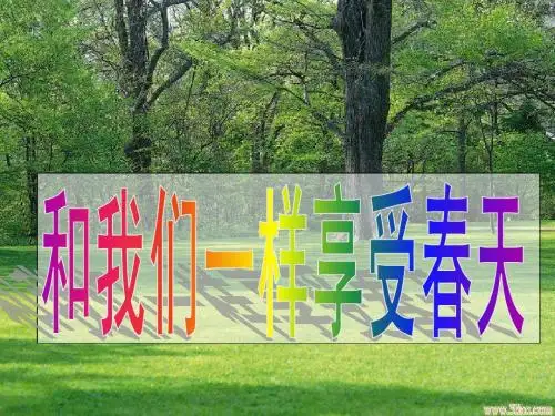 和我们一样享受春天