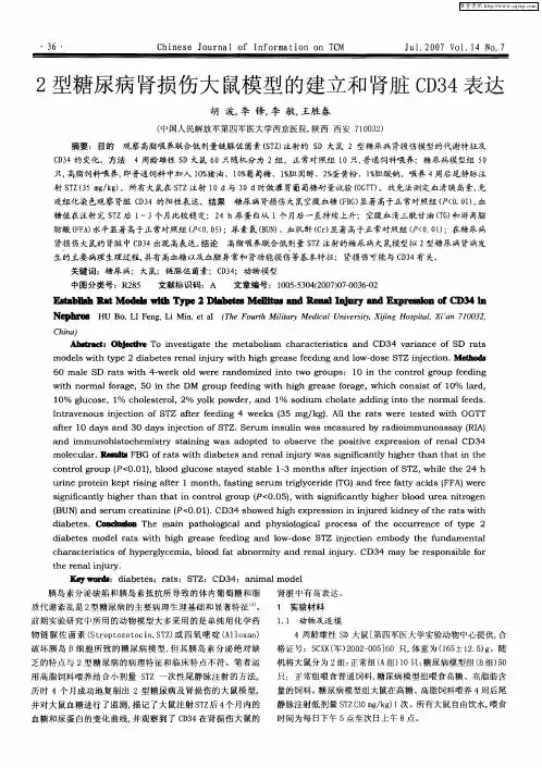 2型糖尿病肾损伤大鼠模型的建立和肾脏CD34表达