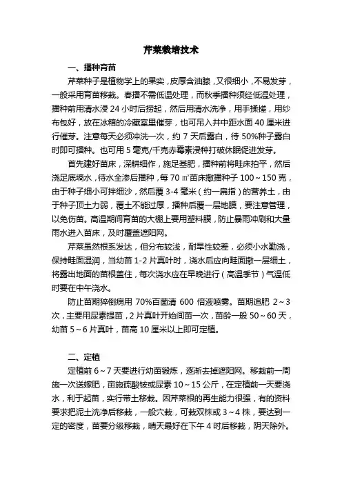 芹菜栽培技术