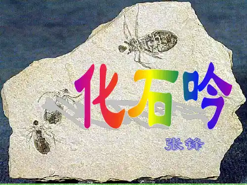 《化石吟》课件