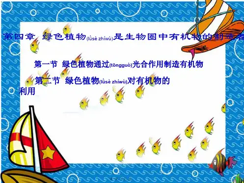 七年级生物上册 第四章 绿色植物是生物圈中有机物的制造者课件