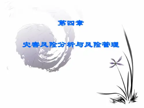第四章  灾害风险分析与风险管理