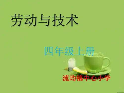 四年级劳动与技术洗茶具