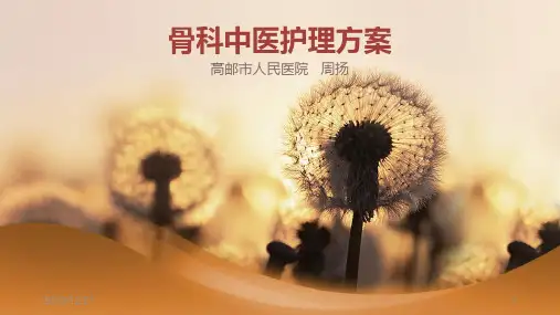 中医护理方案PPT课件