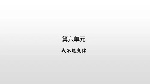 我不能失信PPT课件