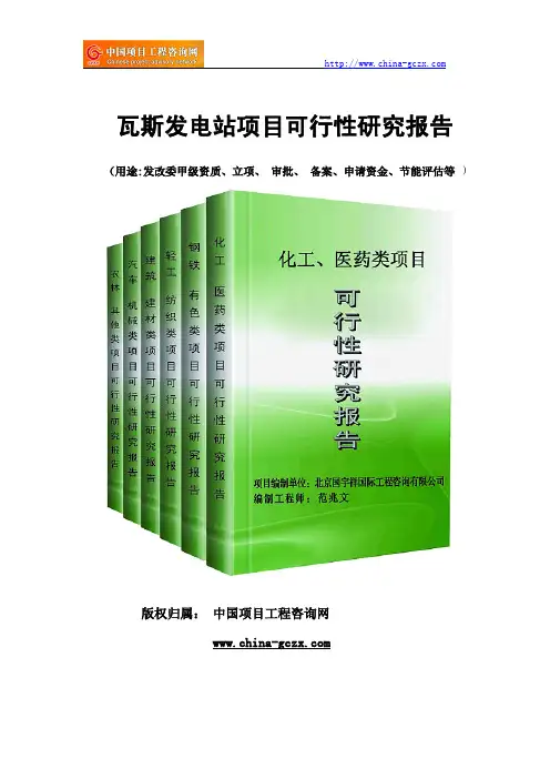 瓦斯发电站项目可行性研究报告(专业经典案例)