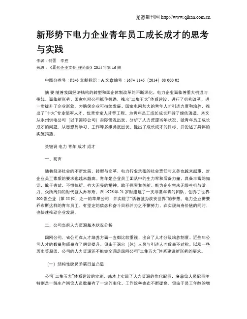 新形势下电力企业青年员工成长成才的思考与实践