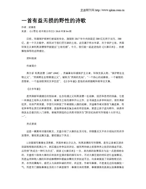 一首有益无损的野性的诗歌