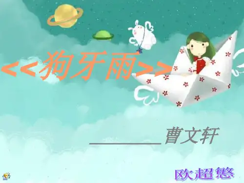 狗牙雨