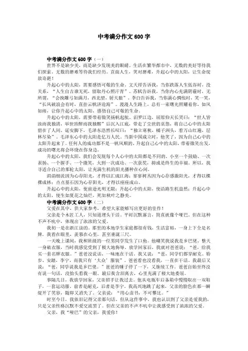 中考满分作文600字