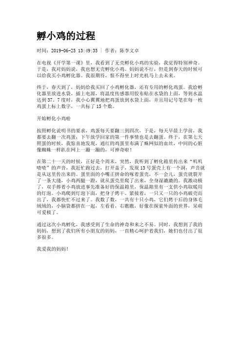 孵小鸡的过程