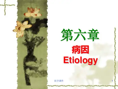 《中医基础理论》病因 PPT课件