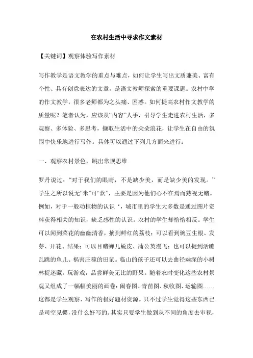 在农村生活中寻求作文素材
