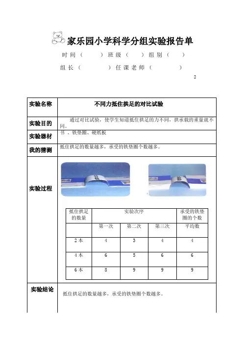 《拱形的力量》优秀实验报告单(含答案)