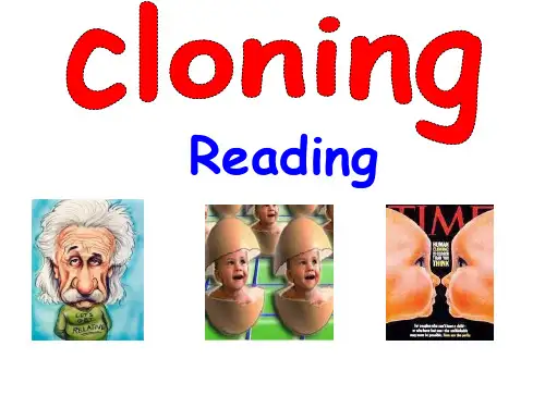 高二英语My-class-on-cloning课件