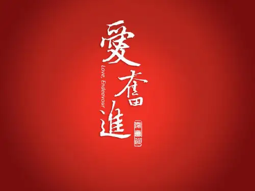 5S一星实施指导手册