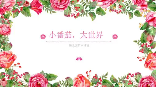 幼儿园班本课程《小番茄,大世界》