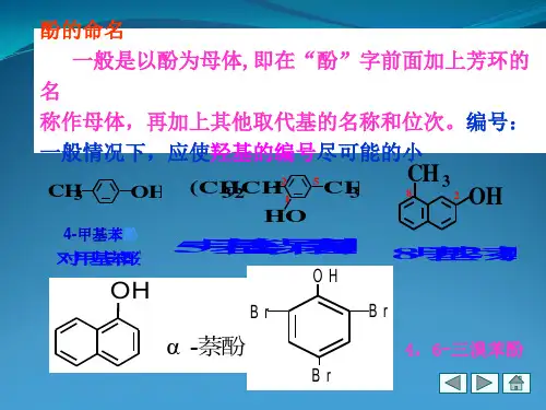 酚的结构和命名